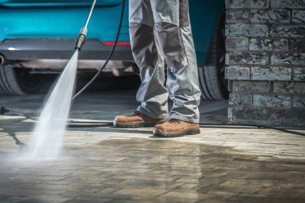 Best Sign and Awning Cleaning  in Woodland Beach, MI