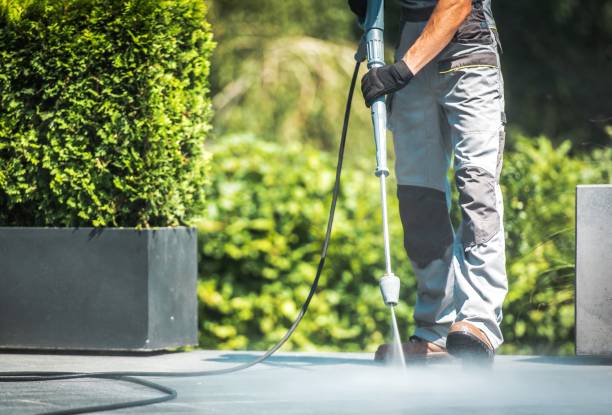 Best Dumpster Area Cleaning  in Woodland Beach, MI