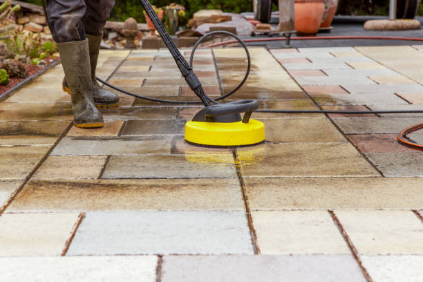 Best Boat and Dock Cleaning  in Woodland Beach, MI