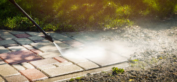 Best Fleet Vehicle Washing  in Woodland Beach, MI