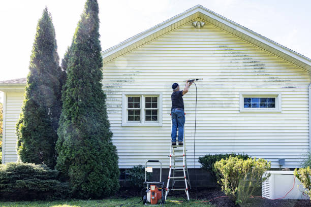 Best Residential Exterior Washing  in Woodland Beach, MI